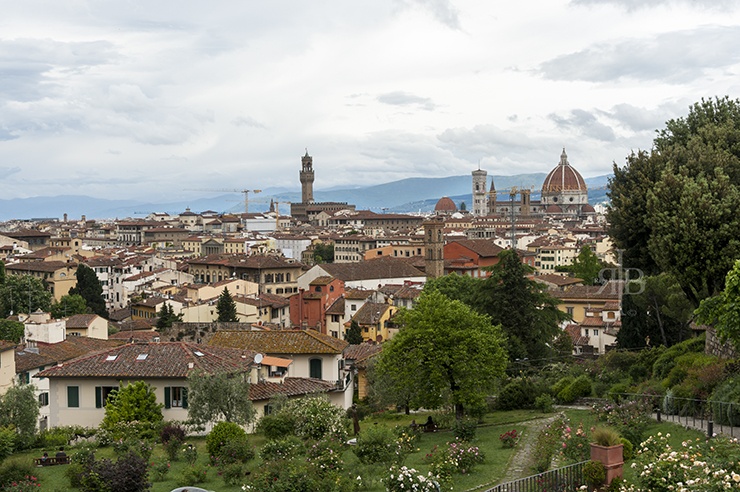 Duomo de Florence depuis la roseraie