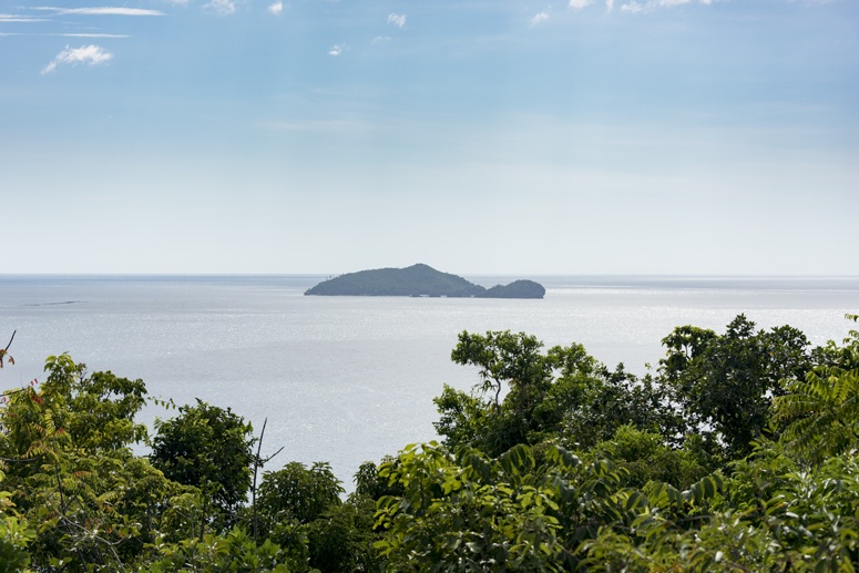 turtle island danjugan negros