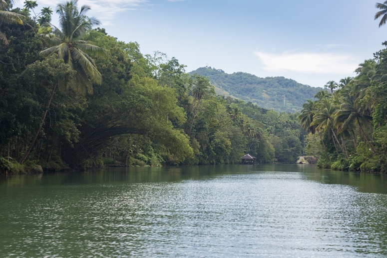 loboc river bohol philippines