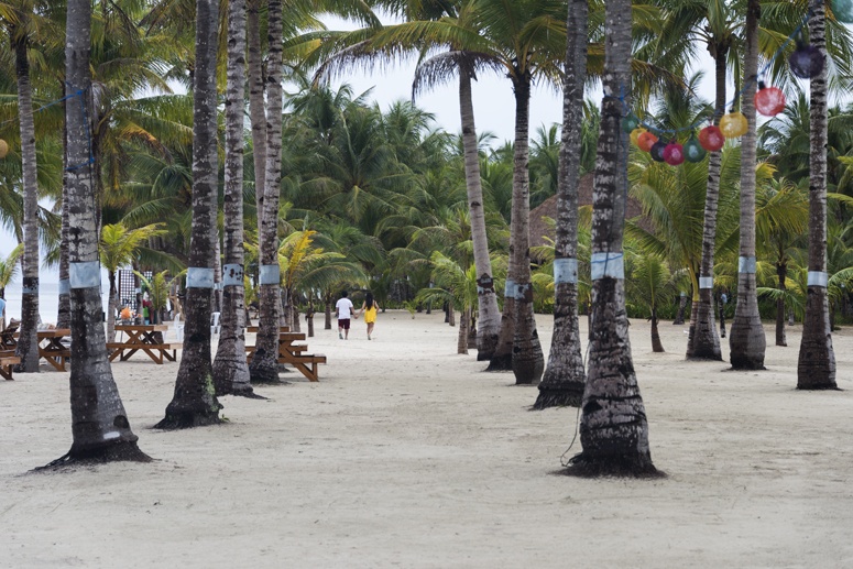 Bohol Beach club beach