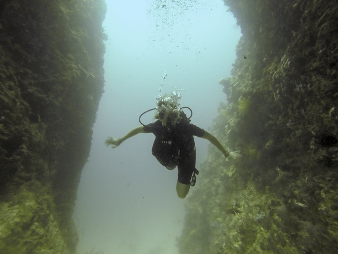 diving bohol beach club