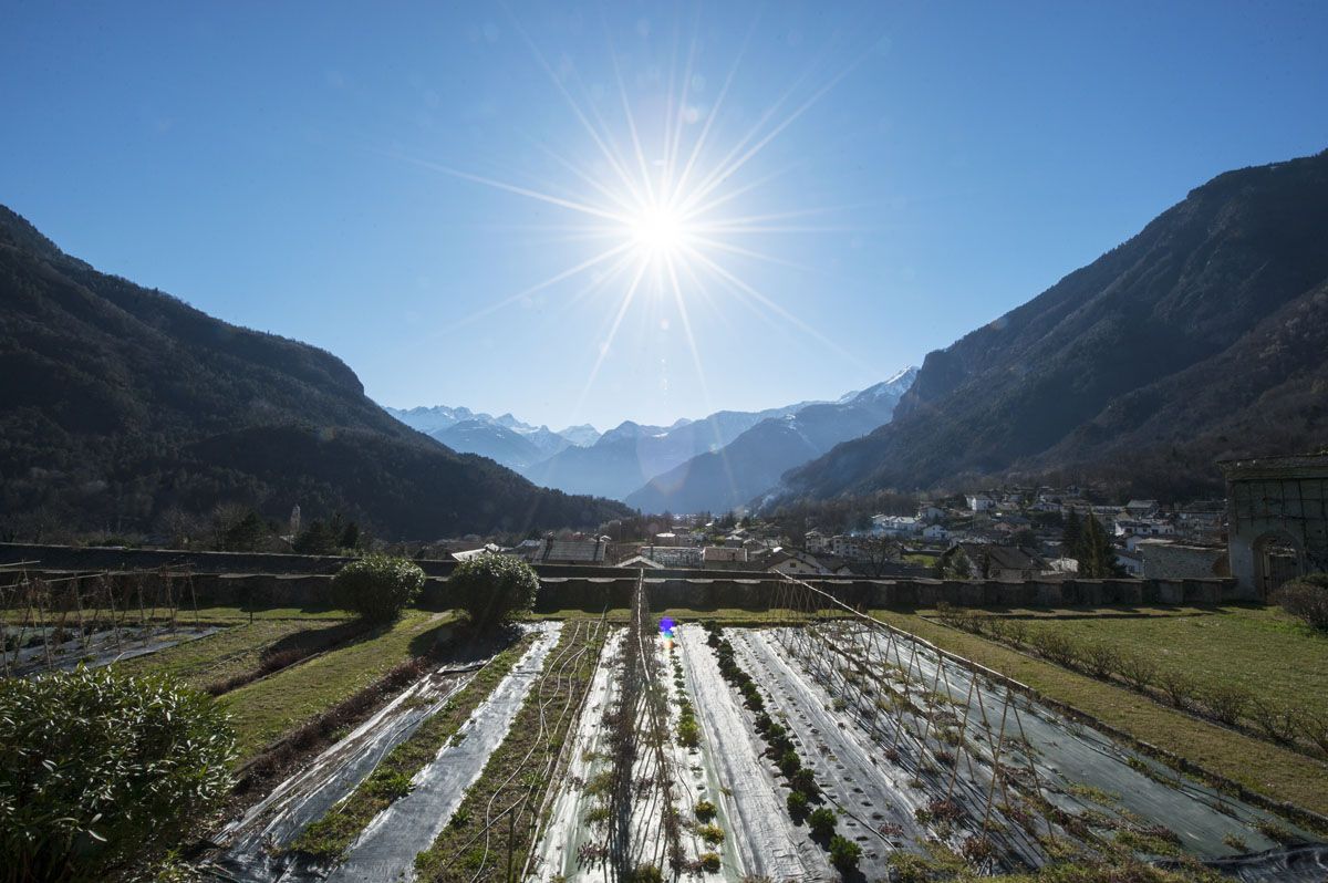 franchise chiavenna palazzo vermate