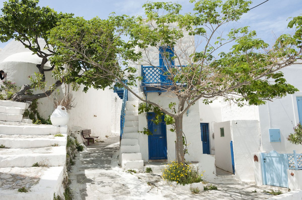 chora tree astypalea greek islands