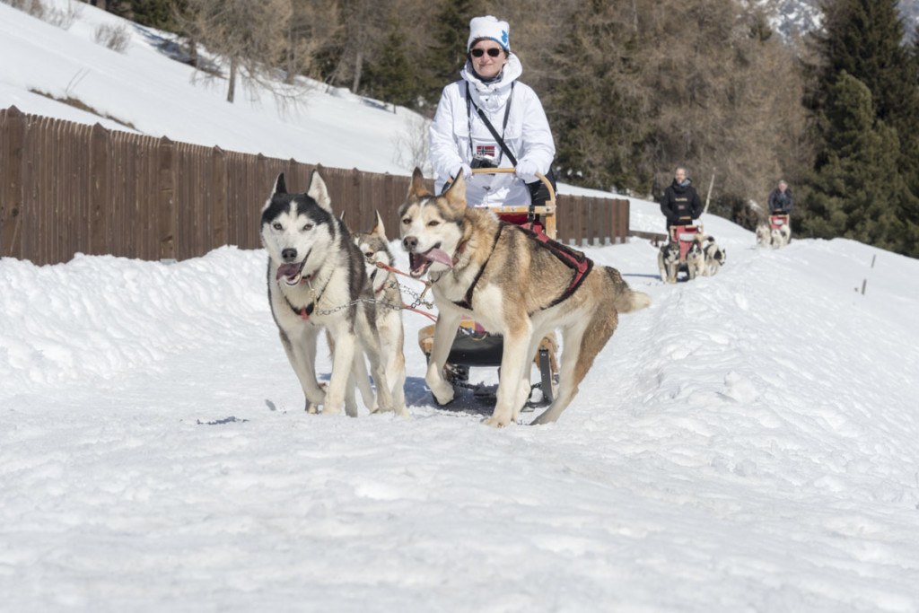 Lombardy Alps Dog Sledding and Snowshoeing in Valdidentro