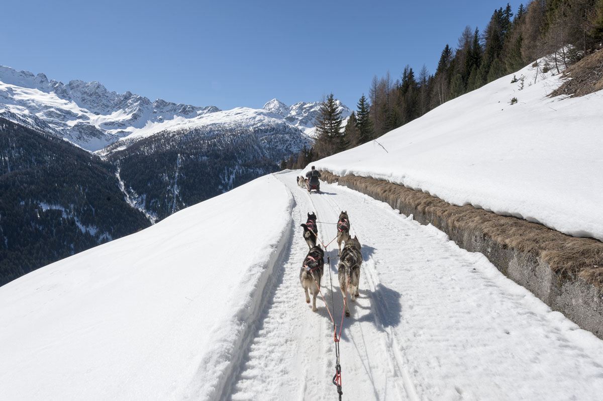 Lombardy Alps - Dog Sledding and Snowshoeing in Valdidentro