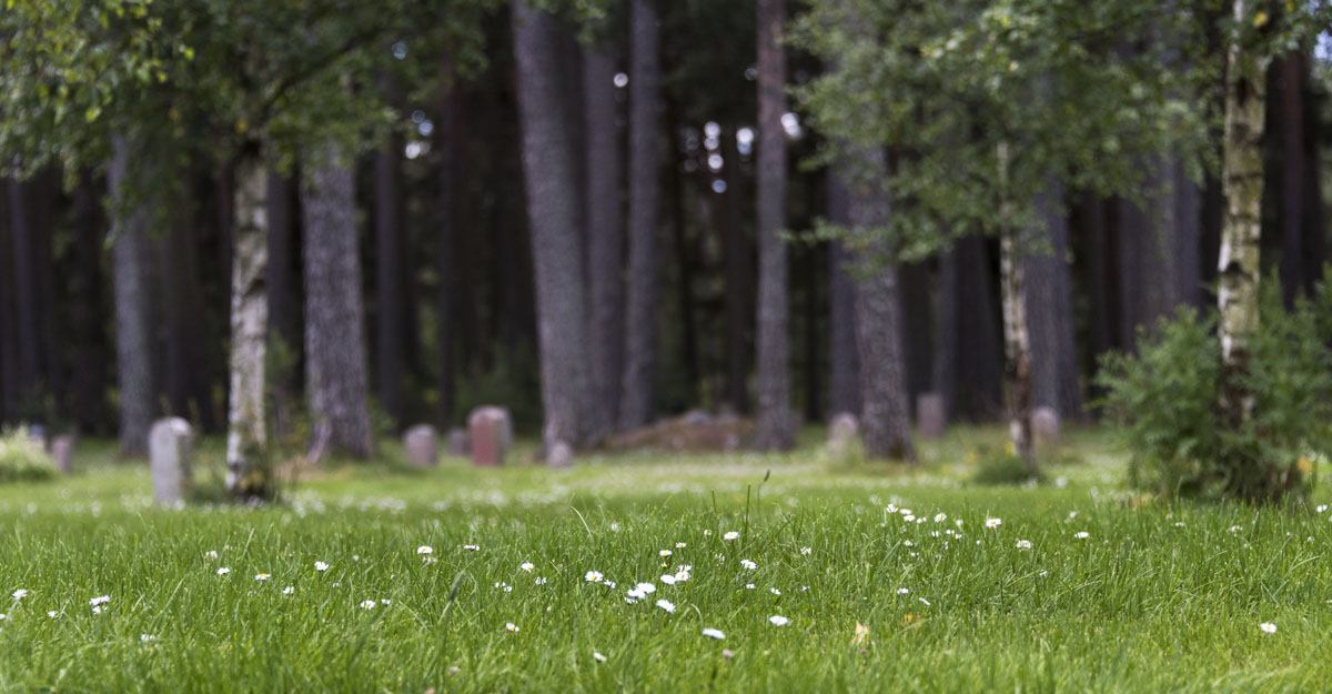Skogskyrkogarden cemetery hills