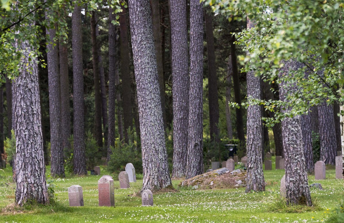 Skogskyrkogarden cemetery trees