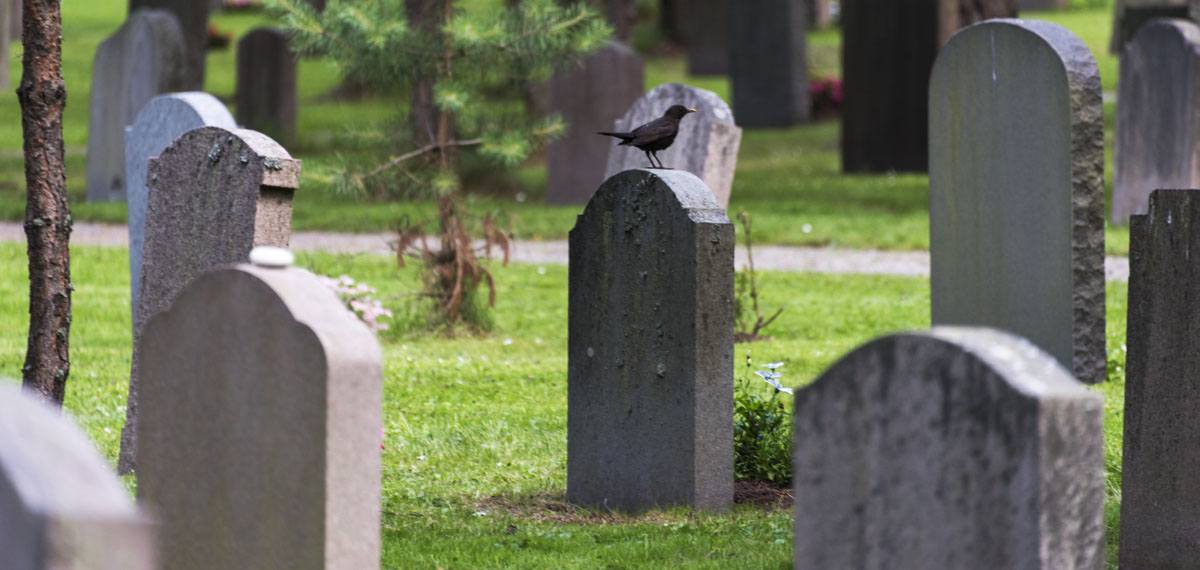 Skogskyrkogarden graves close up