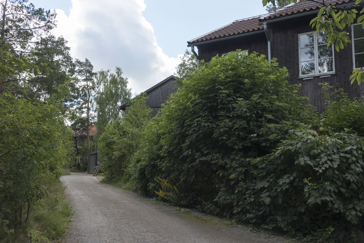 The Stockholm eco village, surrounded by nature