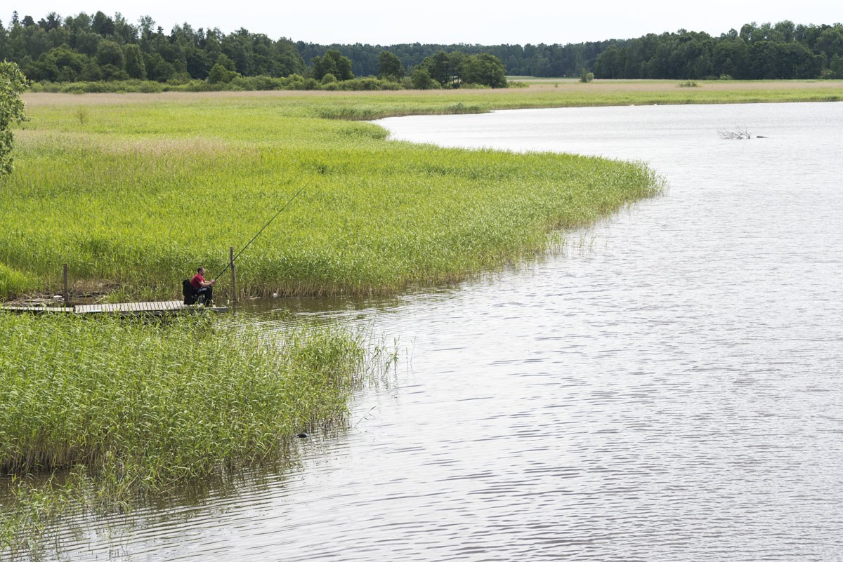 fisherman lammasaari