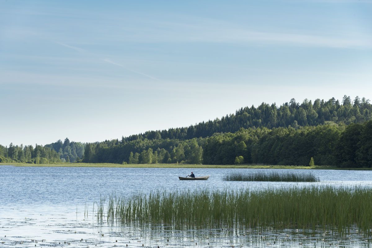 vihti finland lake reeds