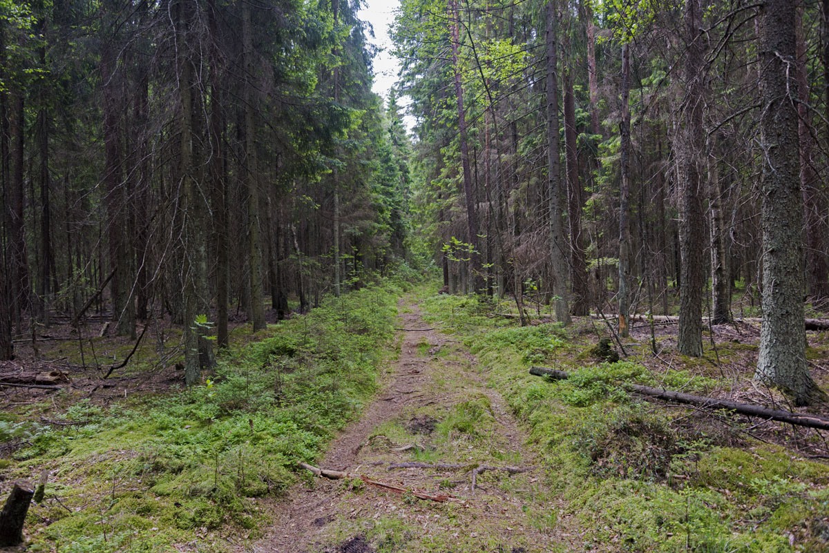 sipoonkorpi national park trails