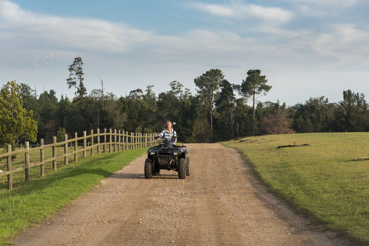 kurland atv plett