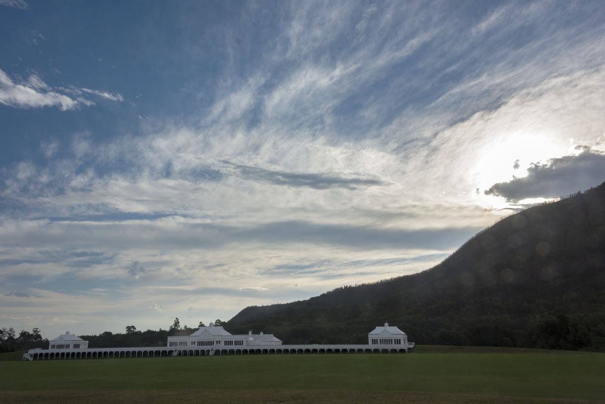 kurland polo plett