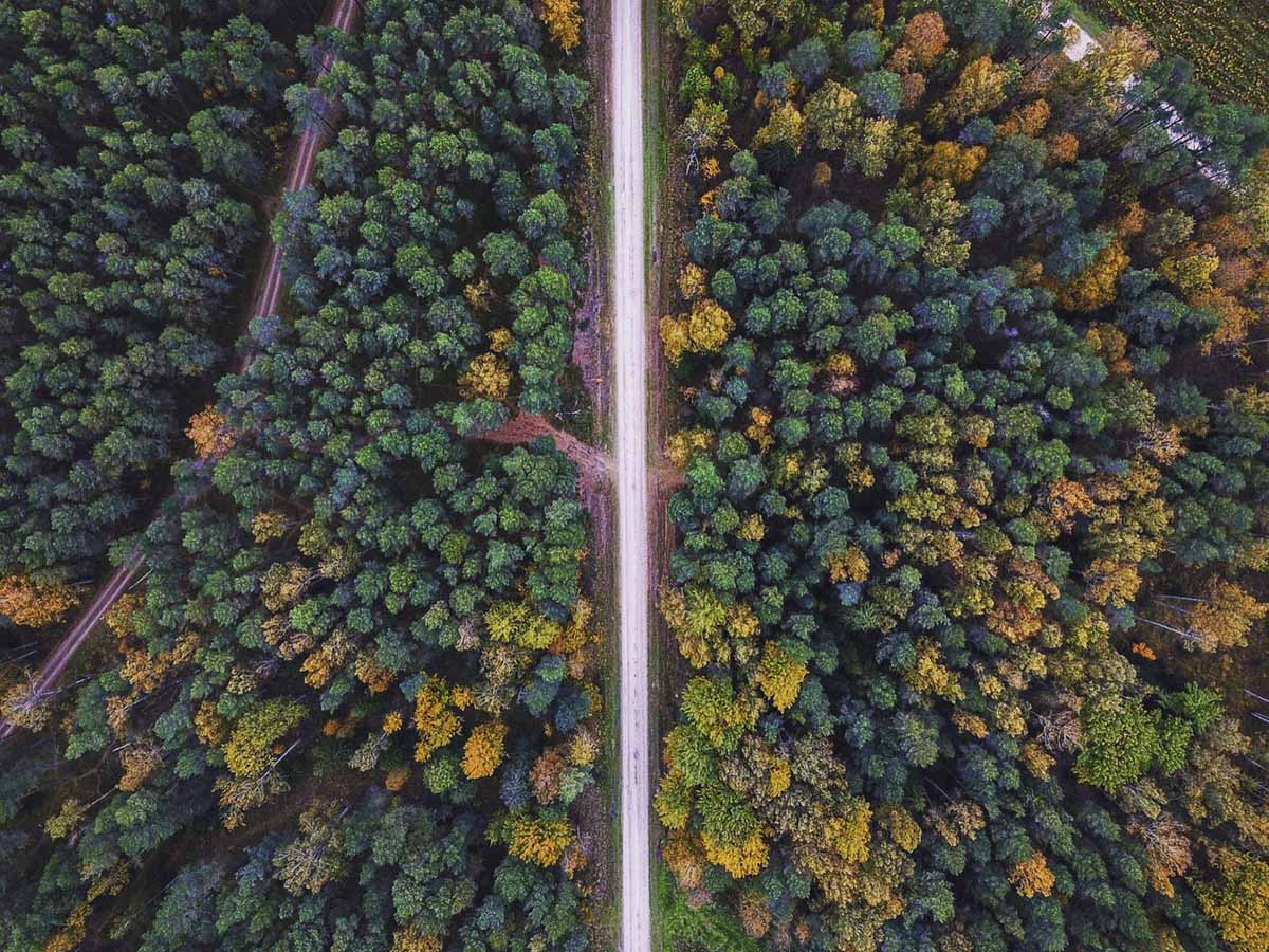 latvia autumn drone