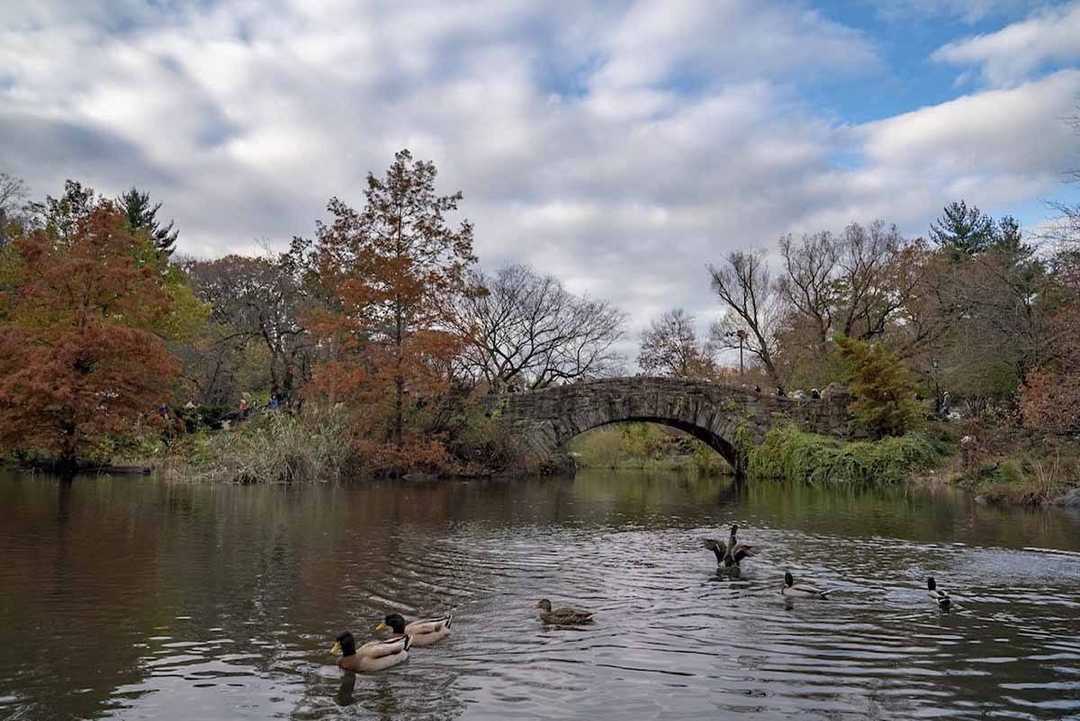 parque central insólito NYC