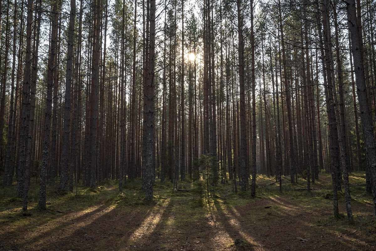 lahemaa national park