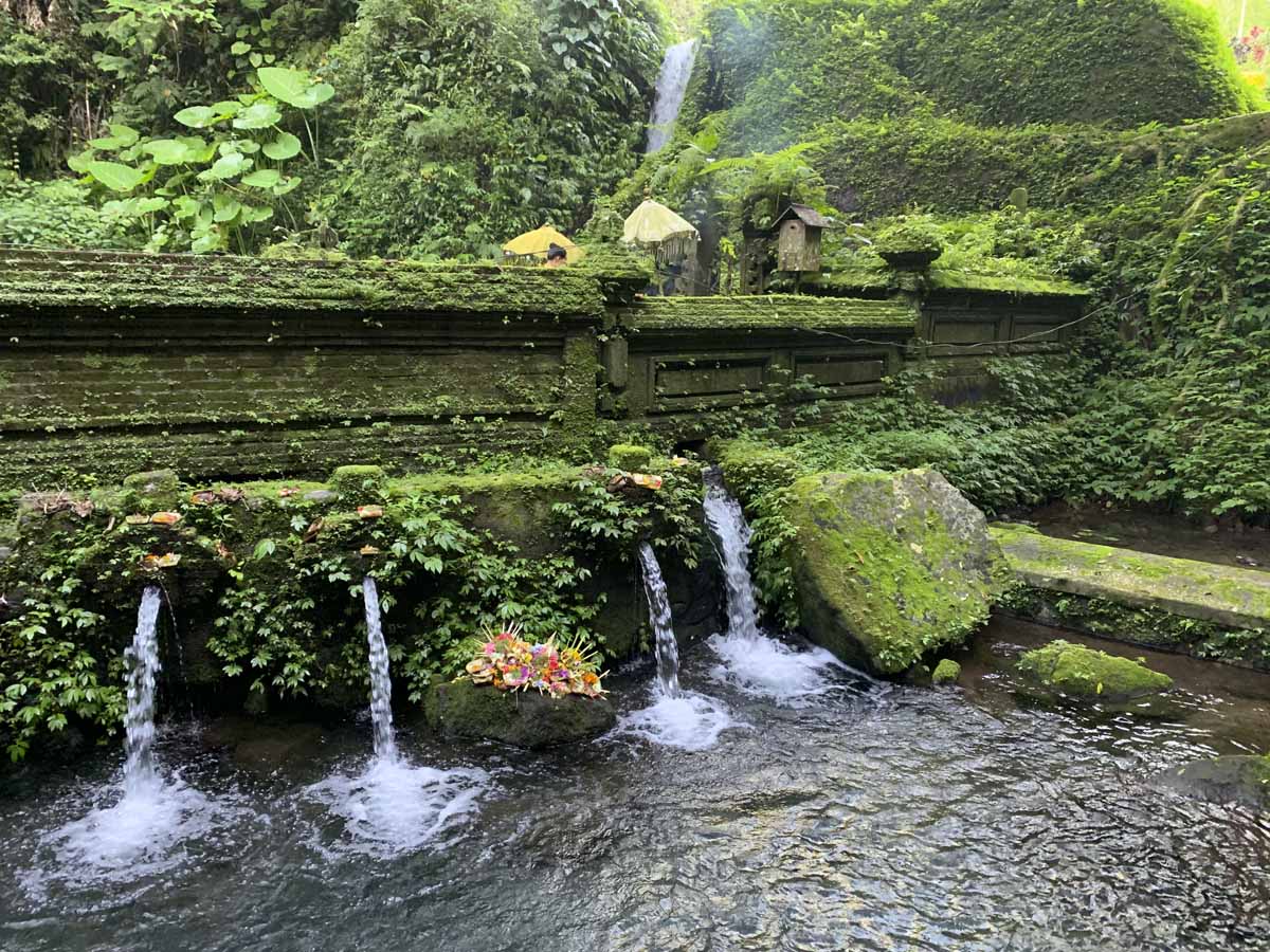 18 Things To Do In Ubud In 3 Days The Crowded Planet