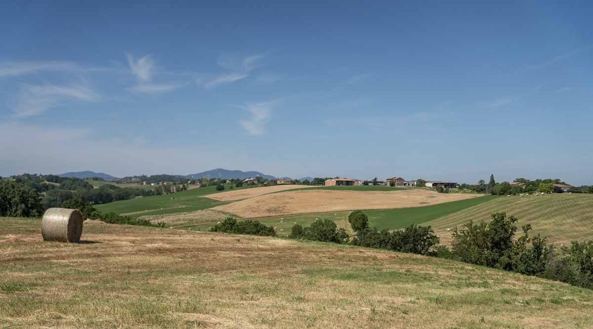 collines de Fidenza à travers la francigena